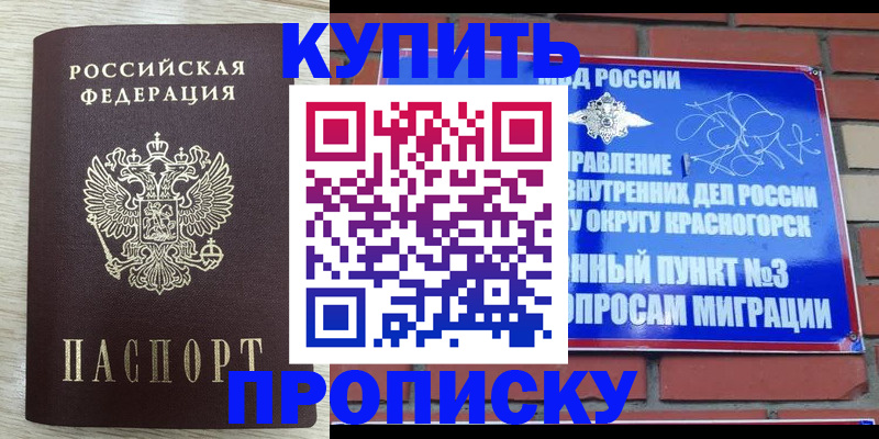 прописка гарантия в Тольятти